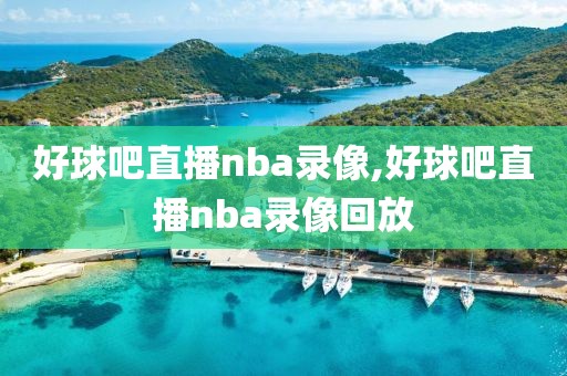 好球吧直播nba录像,好球吧直播nba录像回放