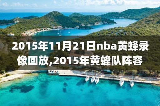 2015年11月21日nba黄蜂录像回放,2015年黄蜂队阵容