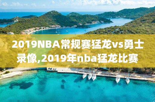 2019NBA常规赛猛龙vs勇士录像,2019年nba猛龙比赛