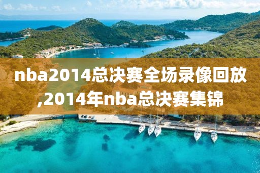 nba2014总决赛全场录像回放,2014年nba总决赛集锦