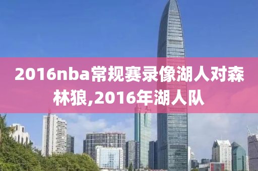 2016nba常规赛录像湖人对森林狼,2016年湖人队