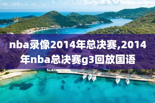 nba录像2014年总决赛,2014年nba总决赛g3回放国语