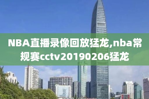 NBA直播录像回放猛龙,nba常规赛cctv20190206猛龙