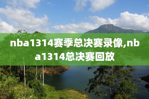 nba1314赛季总决赛录像,nba1314总决赛回放