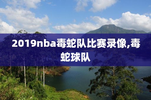 2019nba毒蛇队比赛录像,毒蛇球队