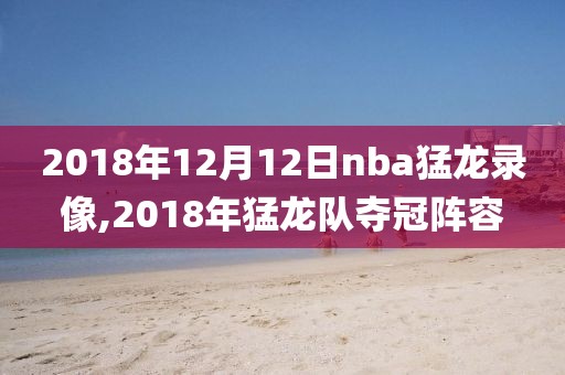 2018年12月12日nba猛龙录像,2018年猛龙队夺冠阵容